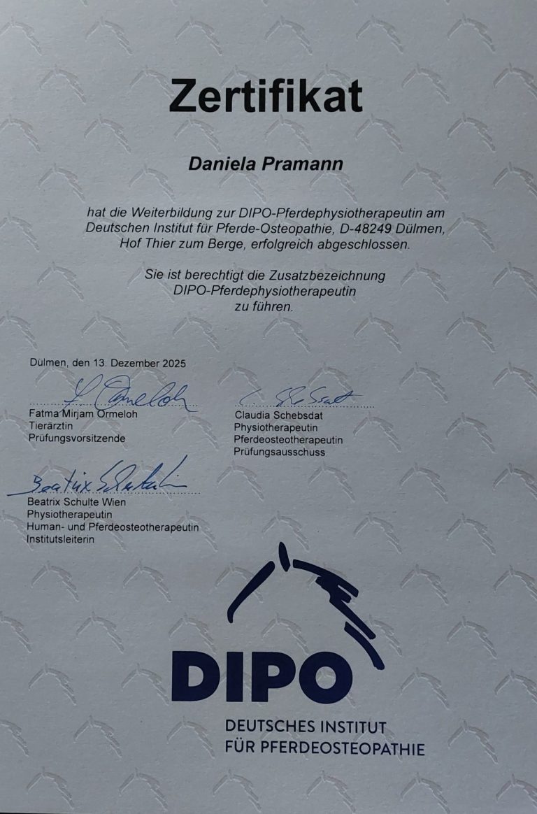 Copyright Daniela Pramann Zertifikat DELST