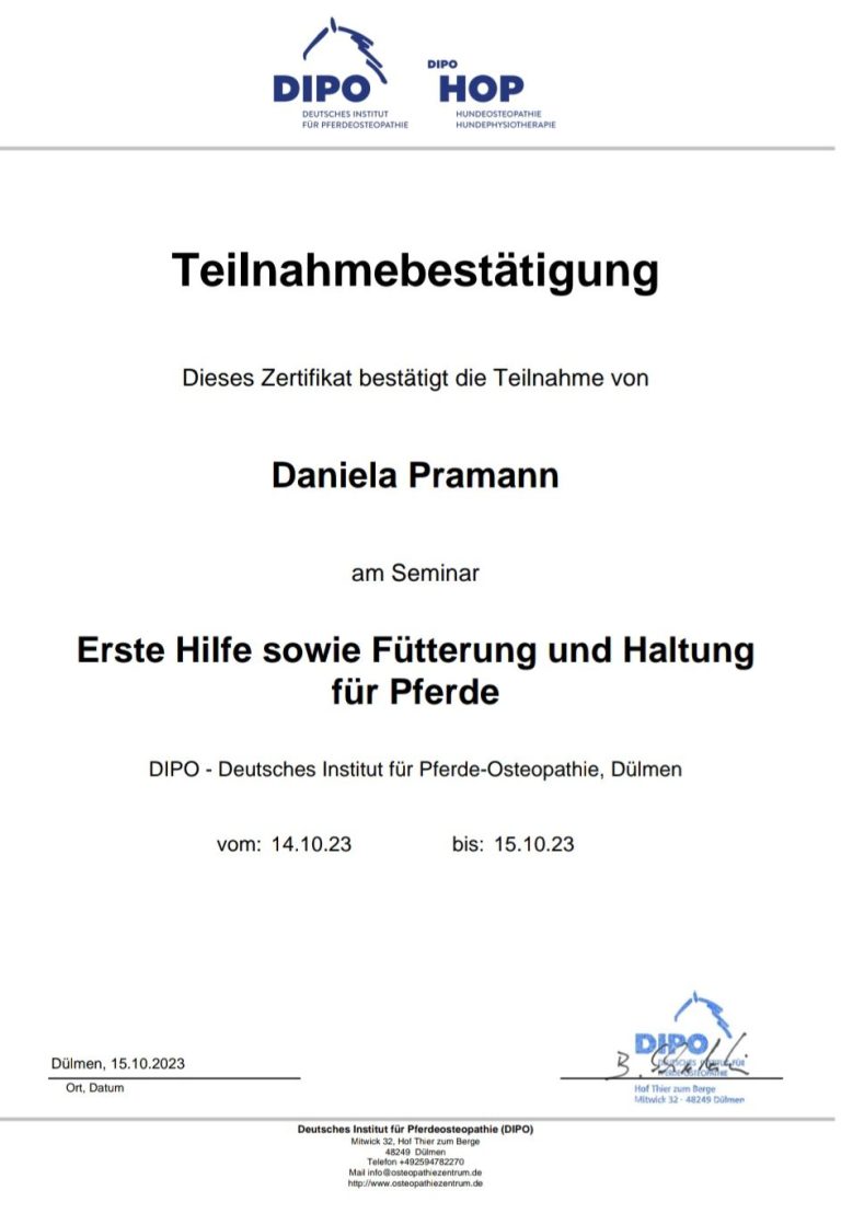 Copyright Daniela Pramann Teilnahmebescheinigung DIPO